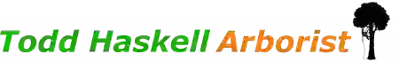 Todd Haskell Arborist logo featuring tree and text